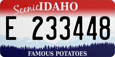 ID license plate E233448