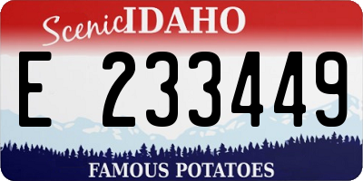 ID license plate E233449
