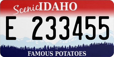 ID license plate E233455