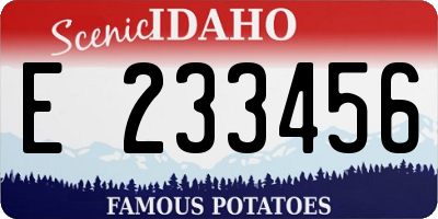 ID license plate E233456