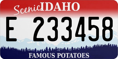 ID license plate E233458