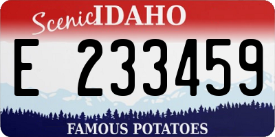 ID license plate E233459