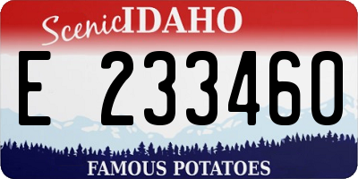 ID license plate E233460