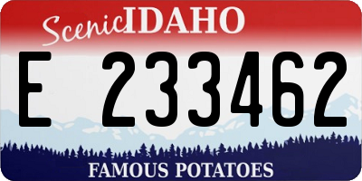 ID license plate E233462
