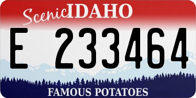 ID license plate E233464