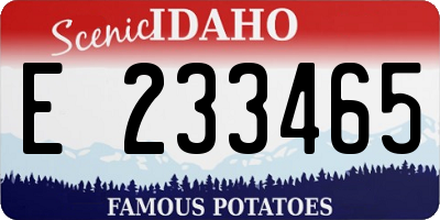 ID license plate E233465