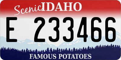 ID license plate E233466