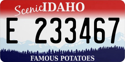 ID license plate E233467