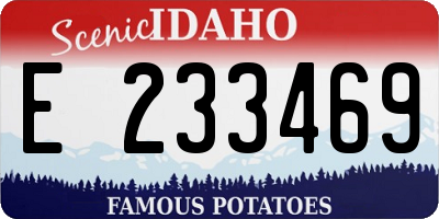 ID license plate E233469
