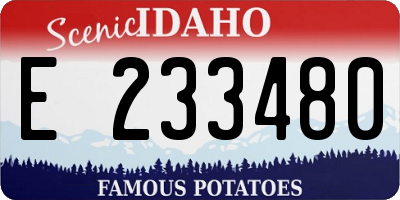 ID license plate E233480