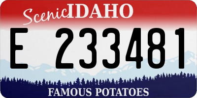 ID license plate E233481