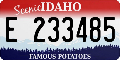 ID license plate E233485