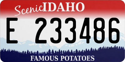 ID license plate E233486