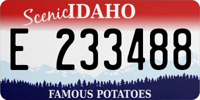 ID license plate E233488