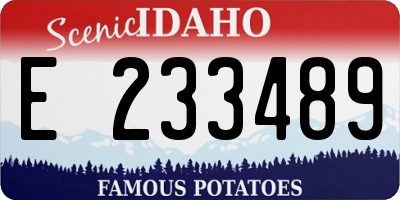 ID license plate E233489