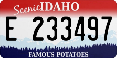 ID license plate E233497
