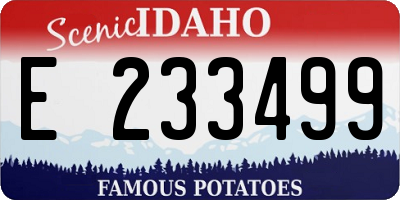 ID license plate E233499