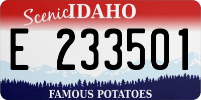 ID license plate E233501