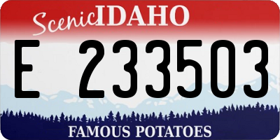 ID license plate E233503