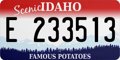 ID license plate E233513