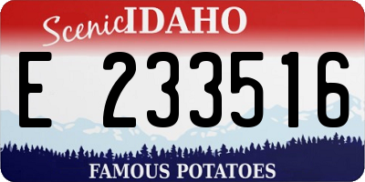 ID license plate E233516