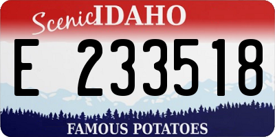 ID license plate E233518