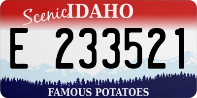 ID license plate E233521