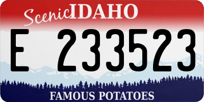 ID license plate E233523