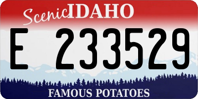 ID license plate E233529