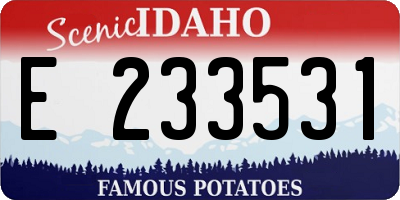 ID license plate E233531