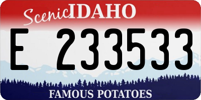 ID license plate E233533