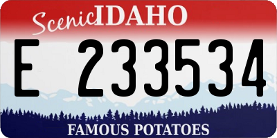 ID license plate E233534