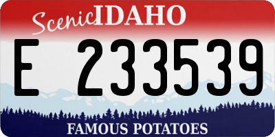 ID license plate E233539
