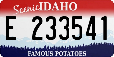 ID license plate E233541