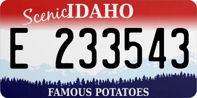 ID license plate E233543