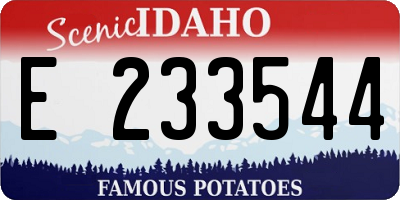 ID license plate E233544