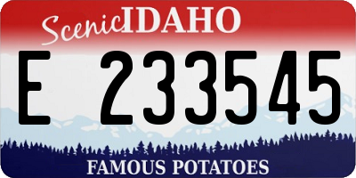 ID license plate E233545