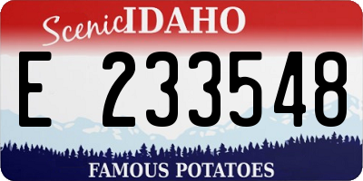 ID license plate E233548