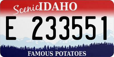 ID license plate E233551