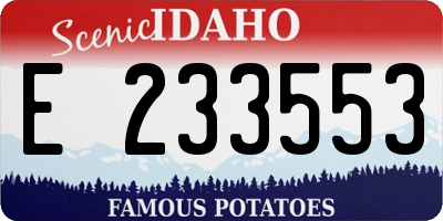 ID license plate E233553