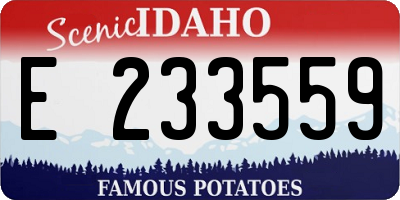 ID license plate E233559
