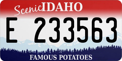 ID license plate E233563