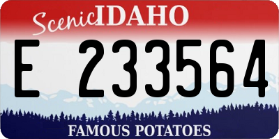 ID license plate E233564