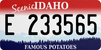 ID license plate E233565