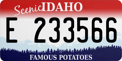 ID license plate E233566