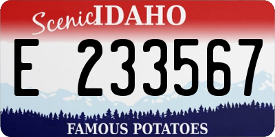 ID license plate E233567