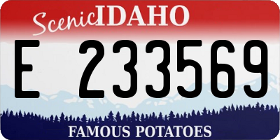 ID license plate E233569