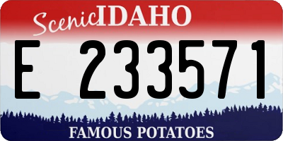 ID license plate E233571