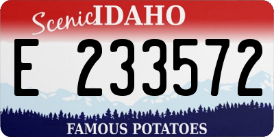 ID license plate E233572