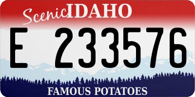 ID license plate E233576